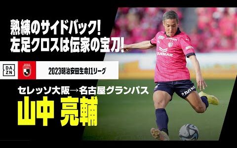 【今オフ移籍｜山中亮輔（セレッソ大阪→名古屋グランパス）プレー集】熟練の左サイドバック！その左足クロスは伝家の宝刀！｜2023明治安田生命J1リーグ