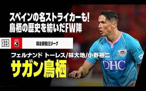 【Jリーグ開幕｜サガン鳥栖｜ストライカーゴール集】フェルナンド トーレス／林大地／小野裕二｜2018-2023明治安田生命J1リーグ