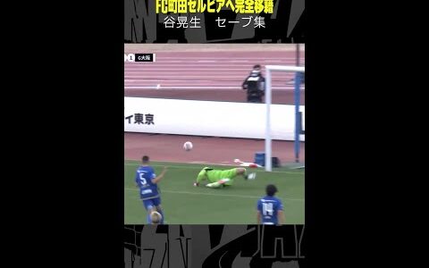 【安定感抜群の守護神】#谷晃生 #FC町田ゼルビア #完全移籍 #サッカー #集セーブ #Jリーグ #DAZN #shorts