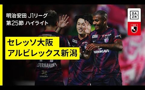【セレッソ大阪×アルビレックス新潟｜ハイライト】 2025明治安田J1リーグ第25節｜2025シーズン｜Jリーグ