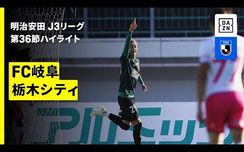 【FC岐阜×栃木シティ｜ハイライト】2025明治安田J3リーグ第36節｜2025シーズン｜Jリーグ